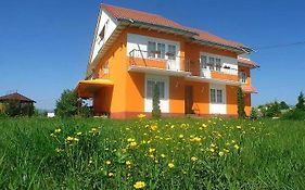 Vila Vlad